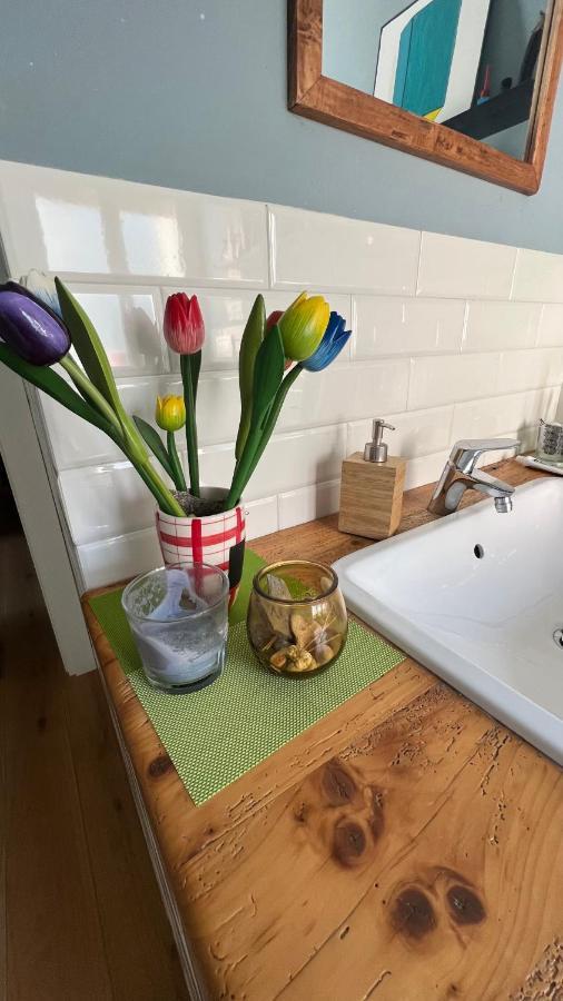 Apartament A Casa Di Gia Gia Bolonia Zewnętrze zdjęcie